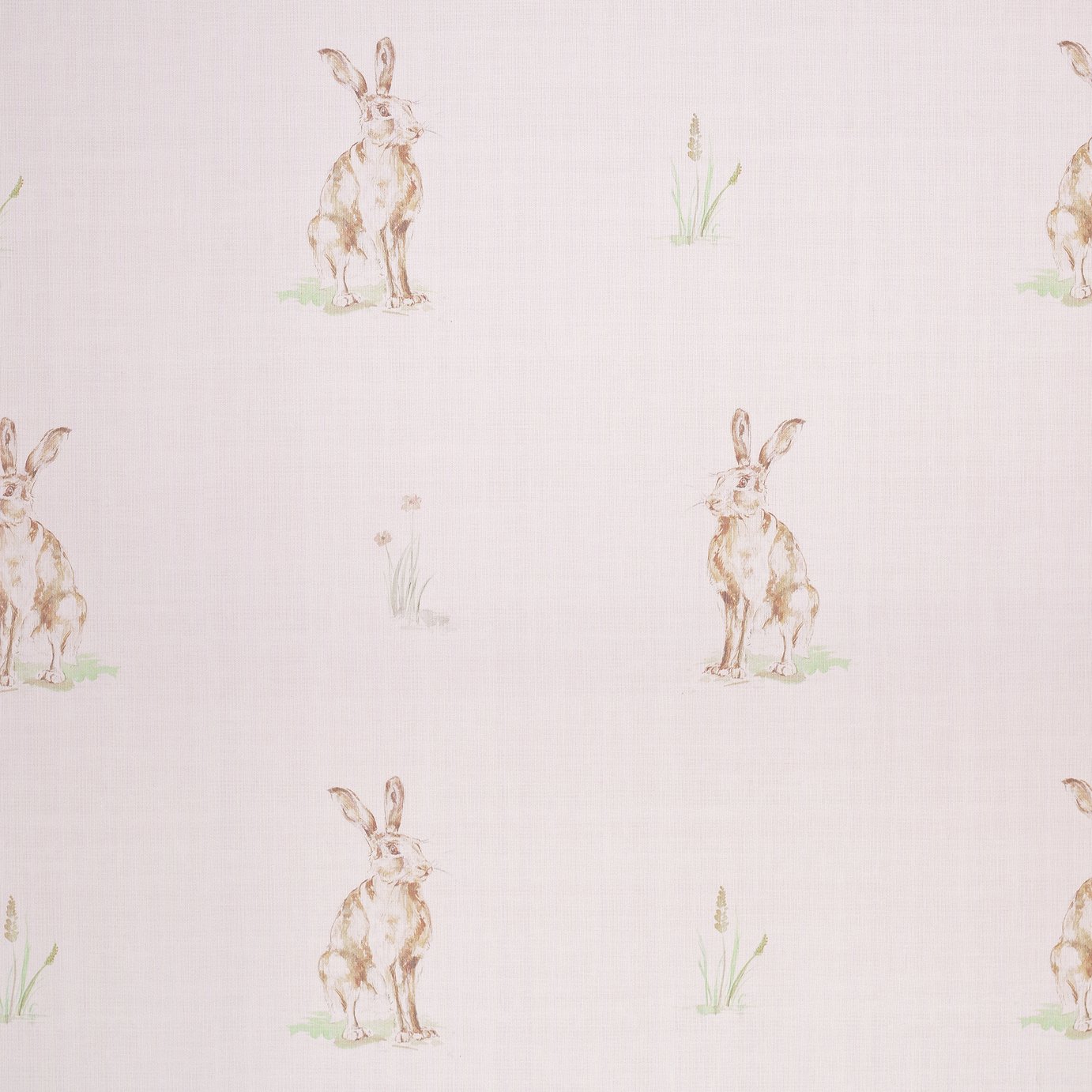Argos Home Hare Daylight Roller Blind 3ft (3241079) Argos Price